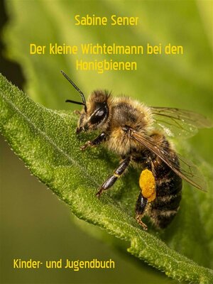 cover image of Der kleine Wichtelmann bei den Honigbienen